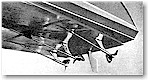 Gray Goose III