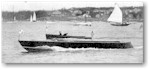 Newt_08b_thumb.jpg (4547 bytes)