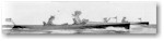 Newt_01_thumb.jpg (2455 bytes)
